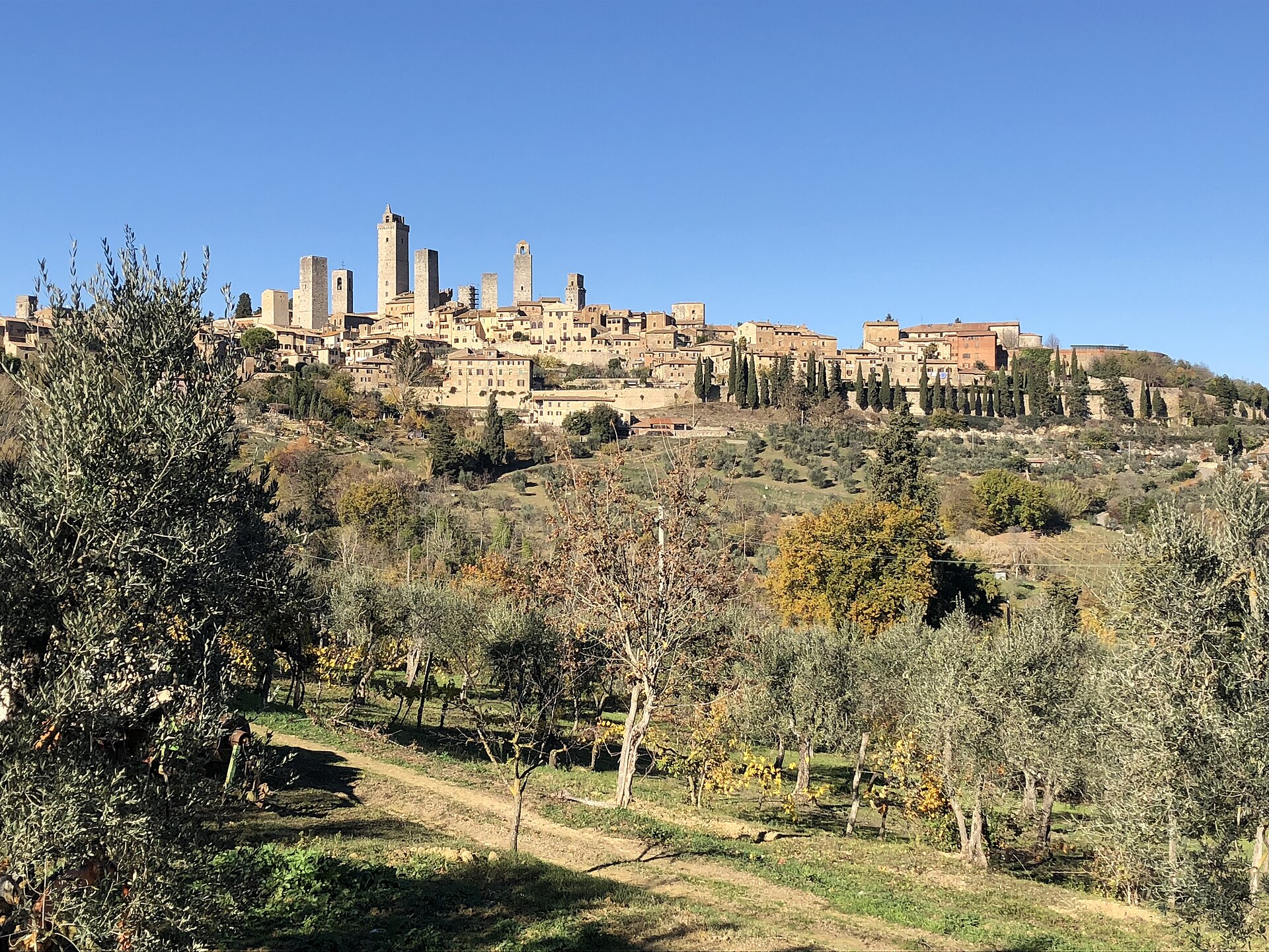 Volterra und San Gimignano ab Pisa: Toskana-Tagesausflug